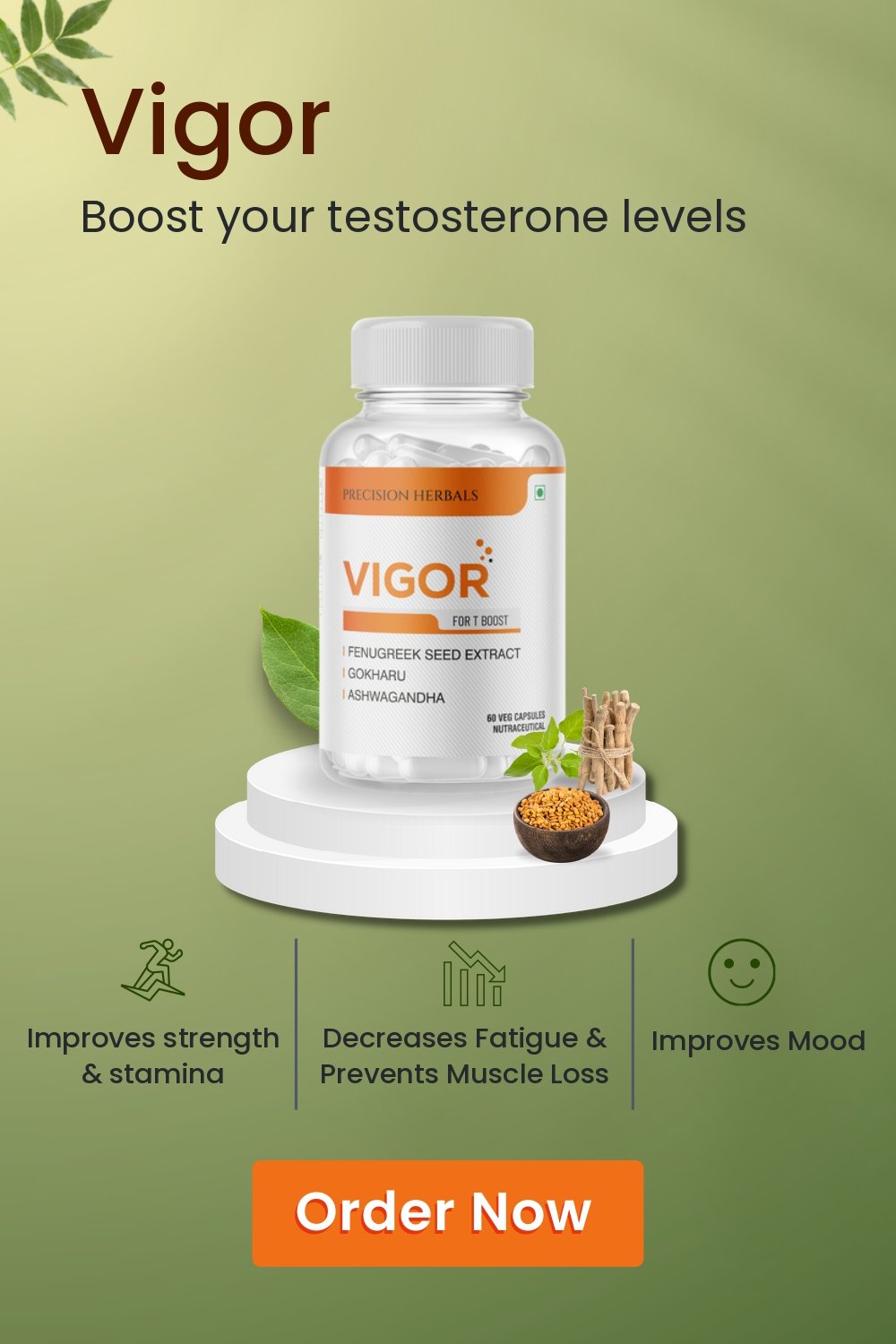 Vigor Mobile